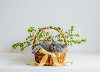 Similar image 22555886