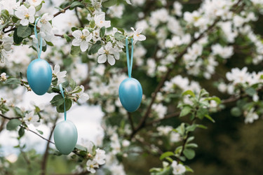 Similar image 22555899