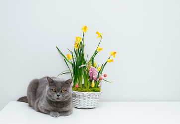 Similar image 22555900