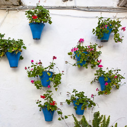 Similar image 22561412