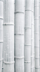 Similar image 22555054