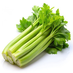 Similar image 22555234