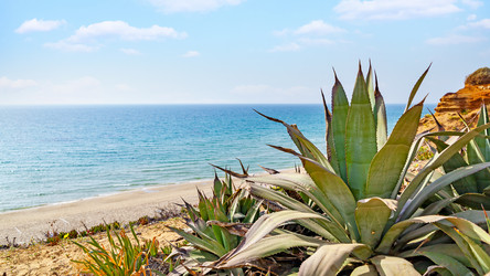 Similar image 22560701