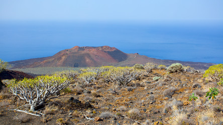 Similar image 22560810