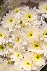 Similar image 22560826