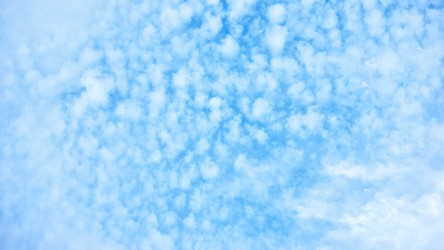 Similar image 22560855