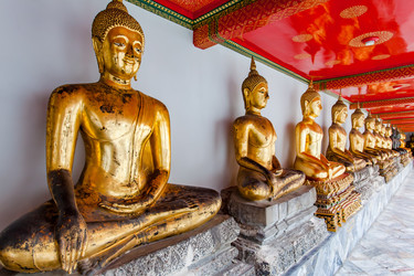 Similar image 22560857