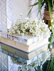 Similar image 22579154