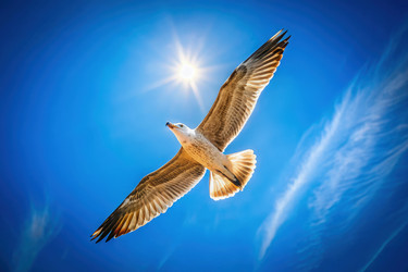 Similar image 22579273