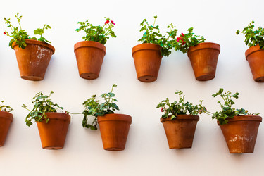 Similar image 22561365