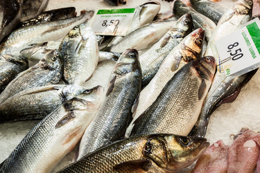 Similar image 22558674