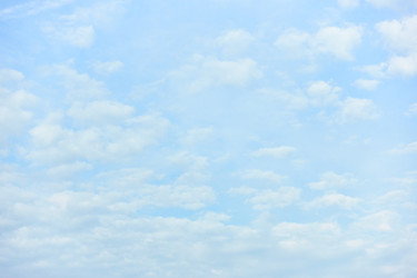 Similar image 22558705