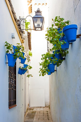 Similar image 22558721