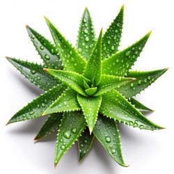 Similar image 22562205