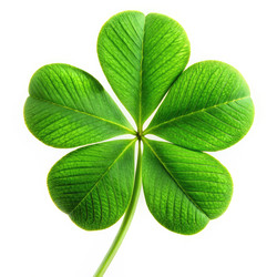 Similar image 22562282