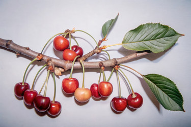 Similar image 22562485