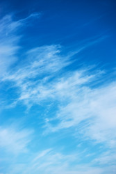 Similar image 22561008