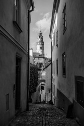 Similar image 22561096