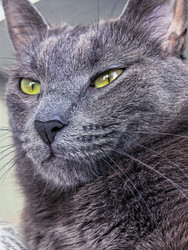 Similar image 22553610