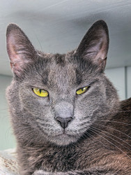 Similar image 22553611