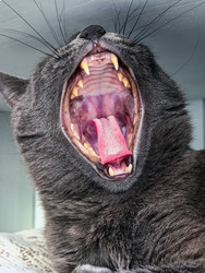 Similar image 22553612