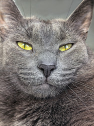 Similar image 22553613