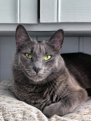 Similar image 22553614