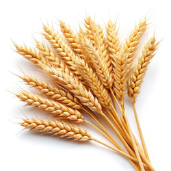 Similar image 22580766