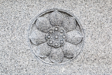 Similar image 22561323