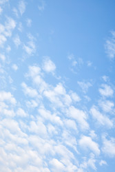 Similar image 22561366