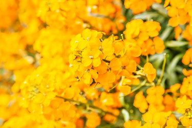 Similar image 22561395