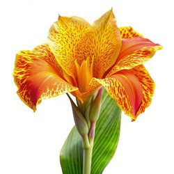 Similar image 22561506