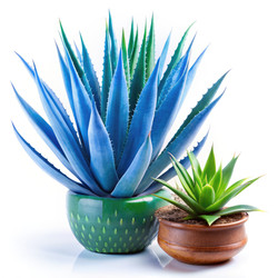 Similar image 22561522