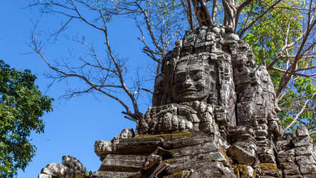 Similar image 22558825