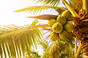 Similar image 22560736