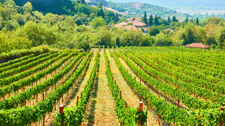 Similar image 22560738