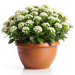 Similar image 22562326