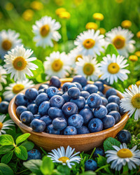 Similar image 22580587