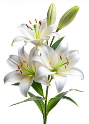 Similar image 22580645