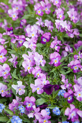 Similar image 22561293