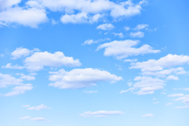 Similar image 22561355