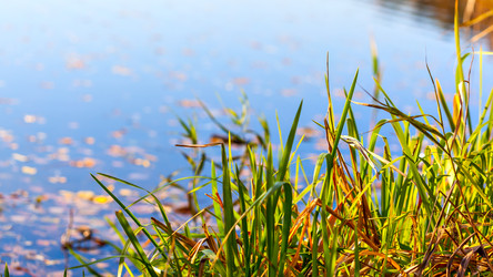 Similar image 22561370