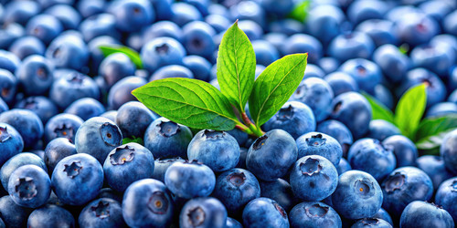 Similar image 22584871