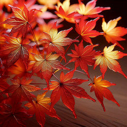 Similar image 22548586