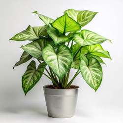 Similar image 22561526