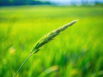 Similar image 22562120