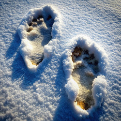 Similar image 22562146