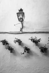 Similar image 22560844