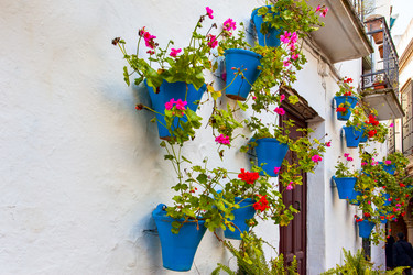 Similar image 22560979