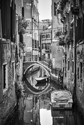 Similar image 22561010